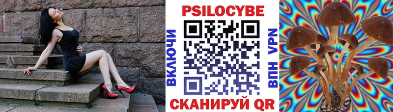 Галлюциногенные грибы Cubensis  купить наркоту  Щёлкино 